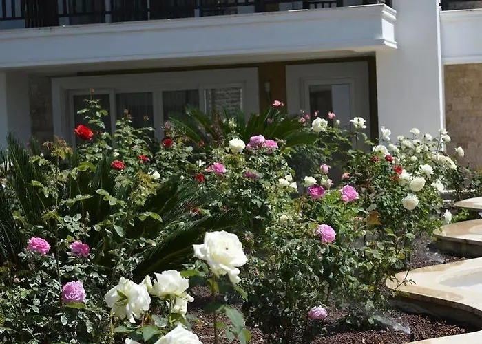 Hotel Sultan Homes 1